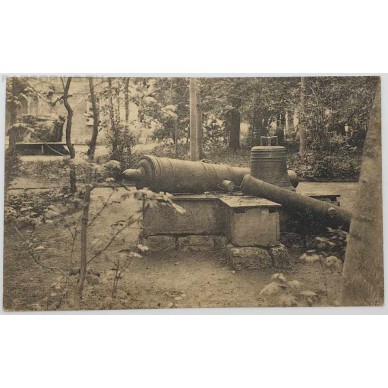Антикварная открытка "Липецк" Вид пушек и пня в нижнем парке времен Петра I