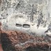 Серебряная статуэтка Петр I Основатель Бийска 1709 (925 проба)